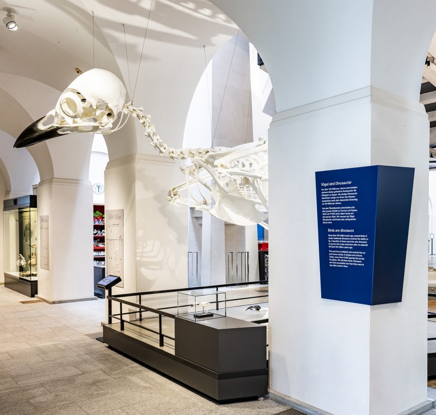 Natural History Museum of the University of Zurich